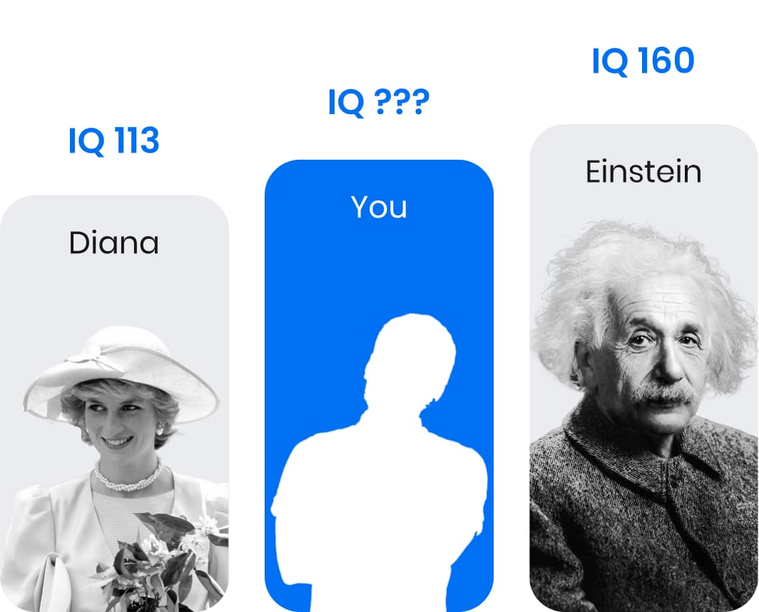 IQ test shown in examples